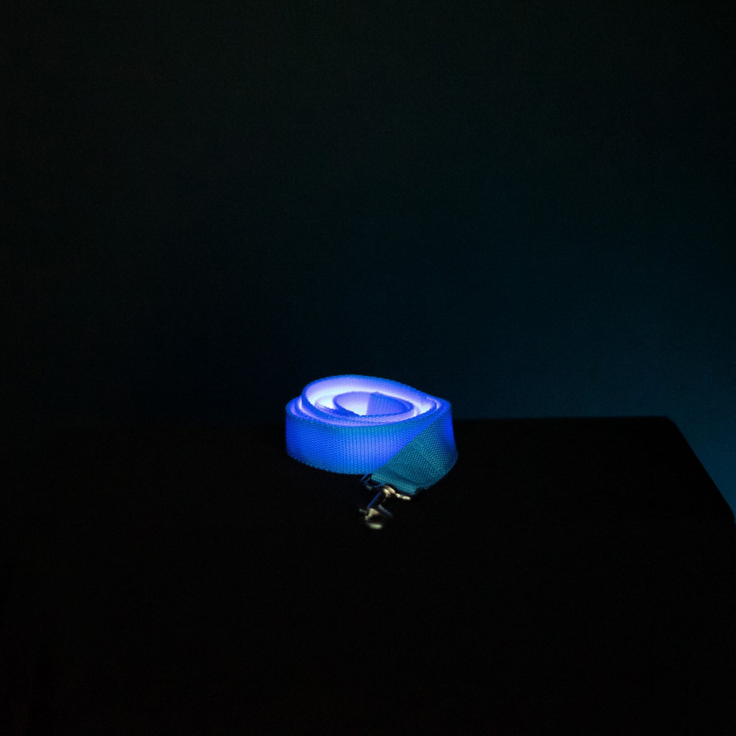LuminLeash - LED dog leash