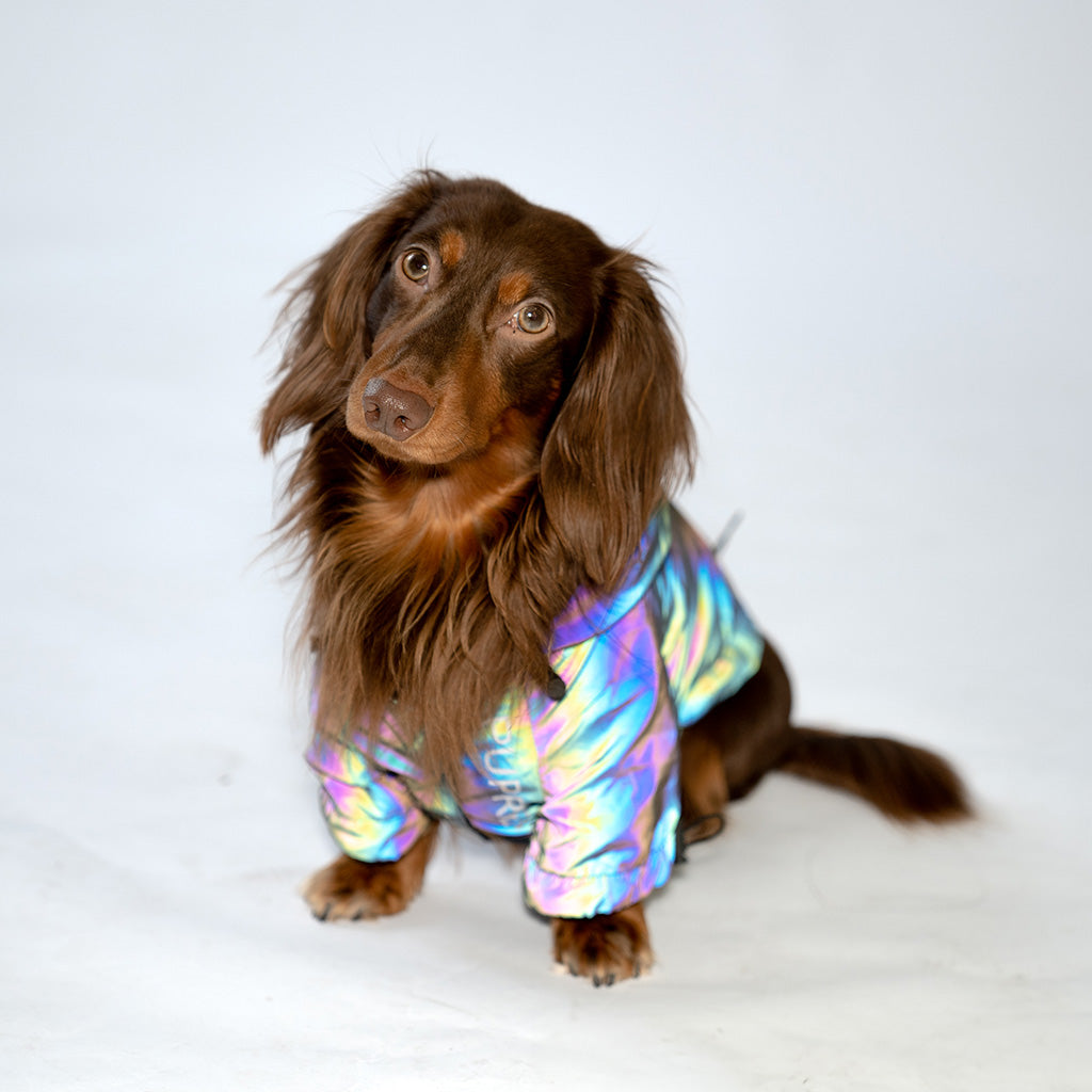 LuminFur dog jacket