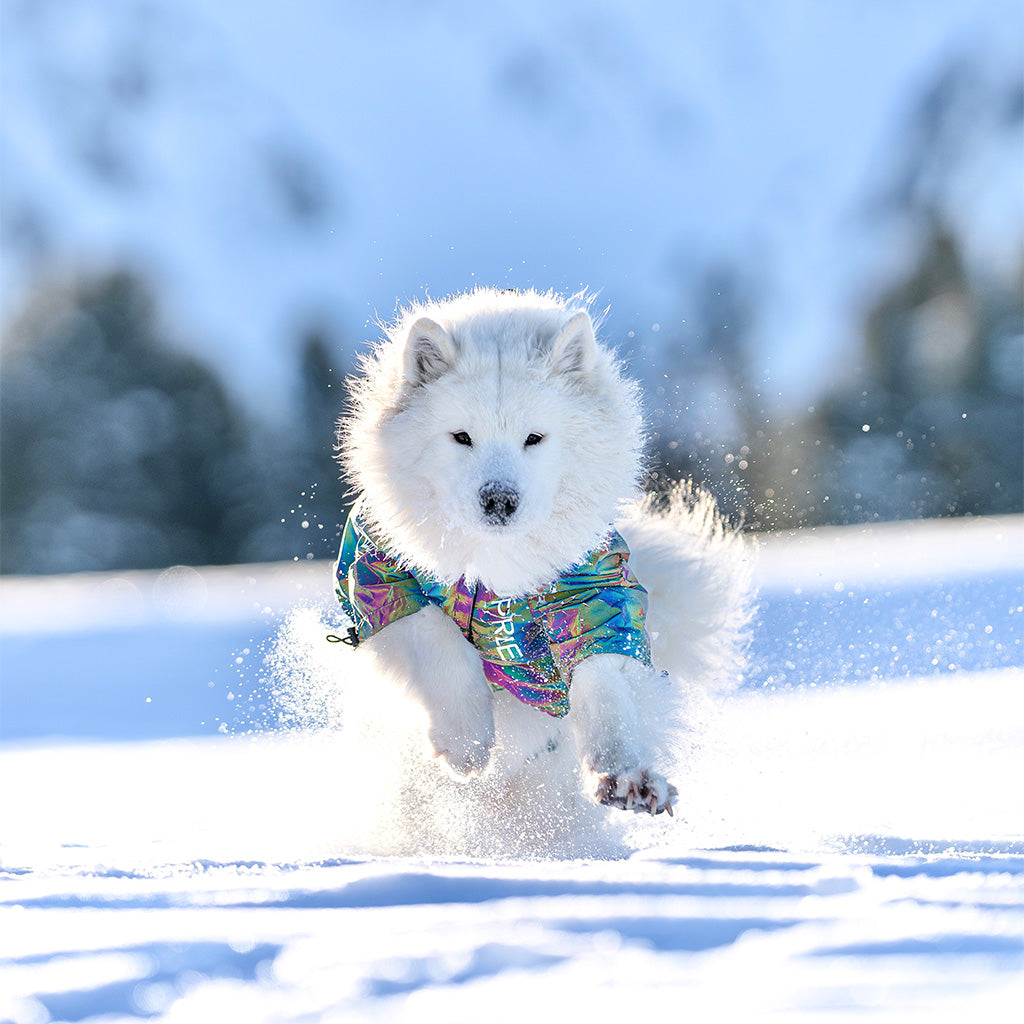 LuminFur Hundejacke