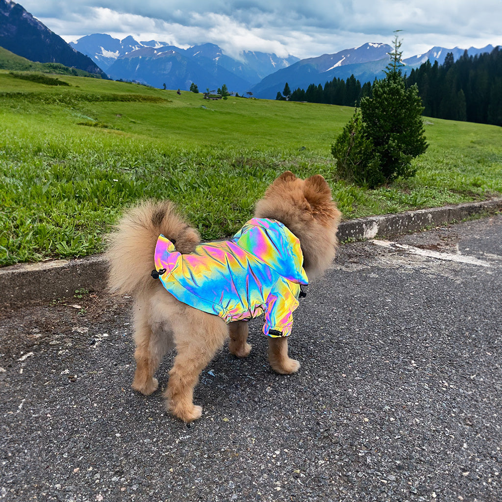 LuminFur dog jacket