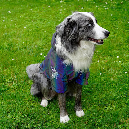 LuminFur dog jacket