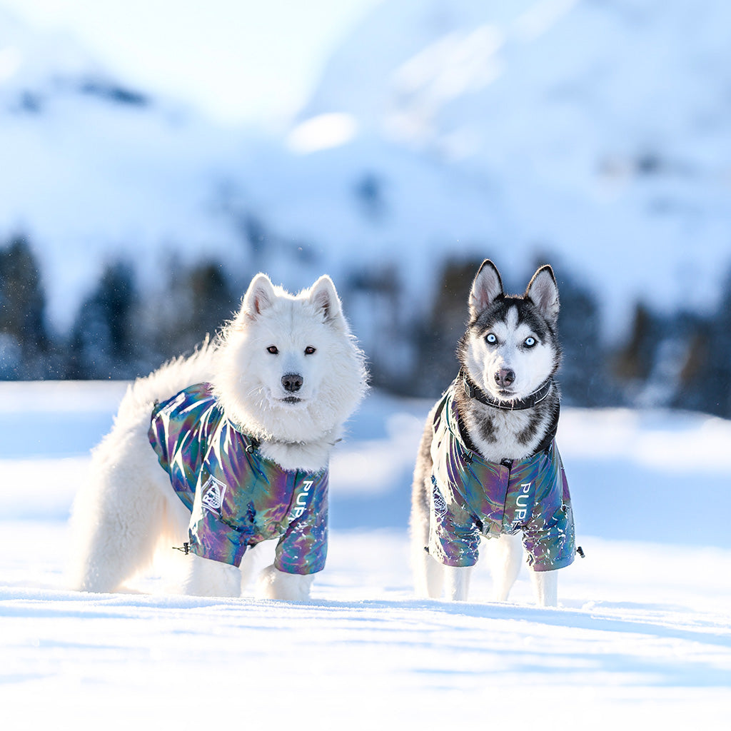 LuminFur Hundejacke