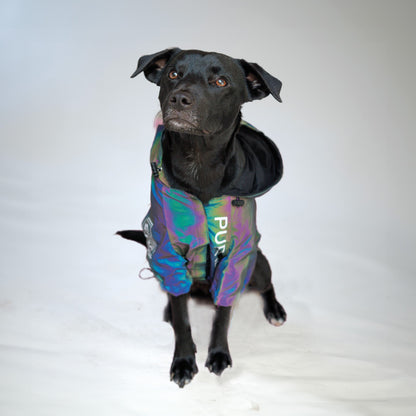 LuminFur dog jacket